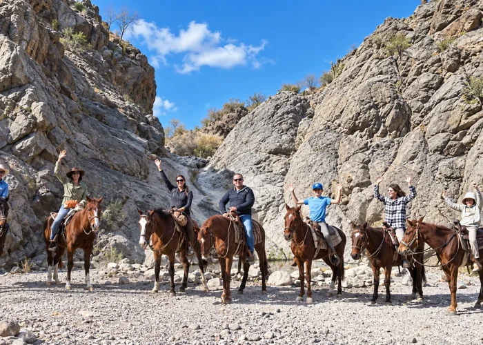 Horseback riding in loreto